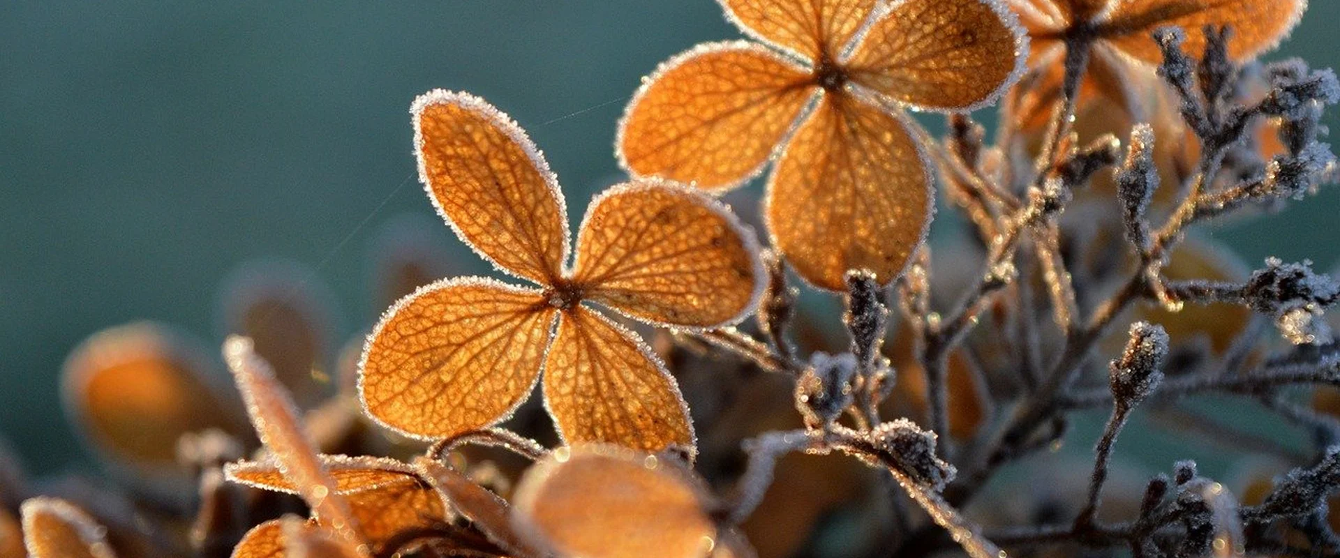 赌博网站PG电子